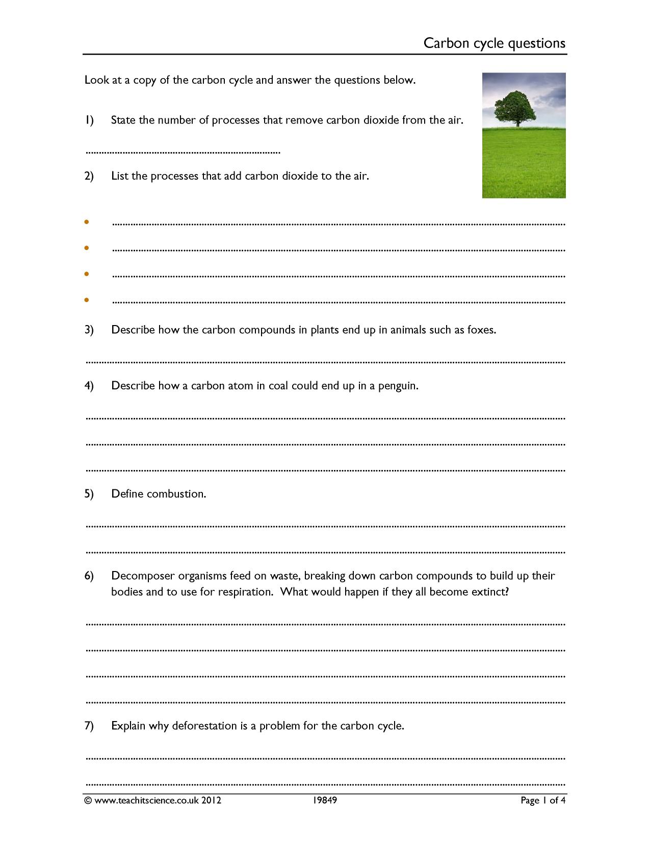 Carbon cycle questions worksheet [pdf] - Teachit Science Pertaining To The Carbon Cycle Worksheet